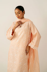 Unstitched 3 Piece Embroidered Chikankari Lawn Suit