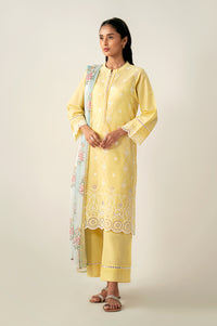 Stitched 3 Piece Embroidered Chikankari Lawn Suit