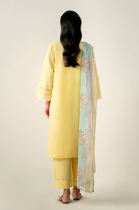 Stitched 3 Piece Embroidered Chikankari Lawn Suit