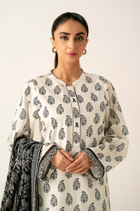 Stitched 3 Piece Printed Lawn Suit