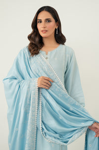 UNSTITCHED CHIKANKARI SUIT