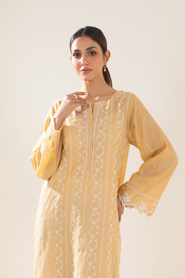 Stitched 1 Piece Textured Lawn Chikankari Embroidered Shirt