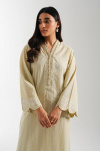 Stitched 1 Piece Embroidered Chikankari Shirt
