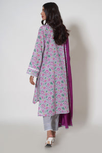 Stitched 2 Piece Printed Lawn Suit