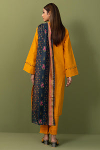 Stitched 2 Piece Both Side Slub Embroidered Suit