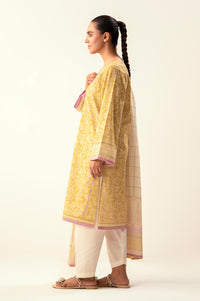 Stitched 2 Piece Printed Lawn Suit