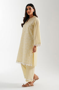 CHIKANKARI SUIT