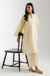 CHIKANKARI SUIT