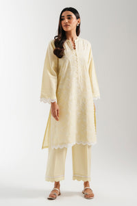CHIKANKARI SUIT