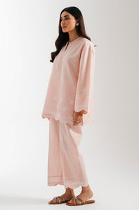 CHIKANKARI SUIT