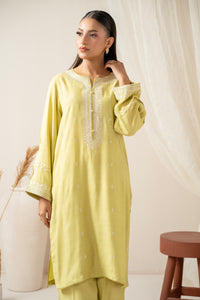 STITCHED EMBROIDERED SHIRT BOTTOM SUIT