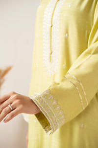 STITCHED EMBROIDERED SHIRT BOTTOM SUIT