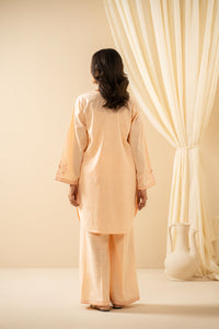 EMBROIDERED BOTH SIDE SLUB STITCHED 2 PIECE SUIT