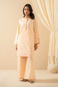 EMBROIDERED BOTH SIDE SLUB STITCHED 2 PIECE SUIT