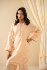 EMBROIDERED BOTH SIDE SLUB STITCHED 2 PIECE SUIT