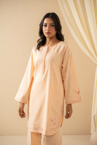 EMBROIDERED BOTH SIDE SLUB STITCHED 2 PIECE SUIT