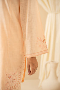 EMBROIDERED BOTH SIDE SLUB STITCHED 2 PIECE SUIT