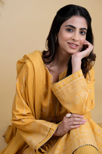 Stitched 3 Piece Embroidered Jacquard Suit