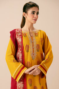 EMBROIDERED SUIT