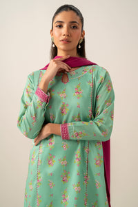 Stitched 3 Piece Printed Lawn Suit