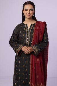 Stitched 3 Piece Paste Printed Dobby Mysuri Suit