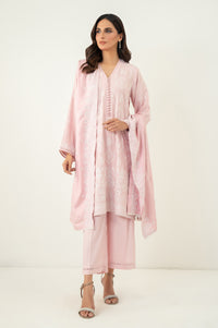 CHIKANKARI SUIT