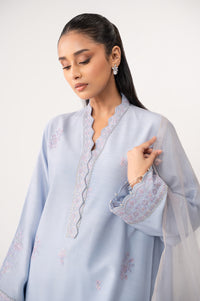 EMBROIDERED SUIT