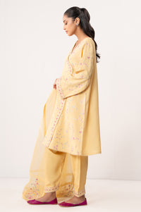 EMBROIDERED SUIT