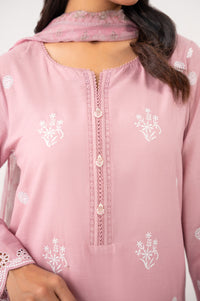 CHIKANKARI SUIT