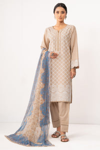 CHIKANKARI SUIT