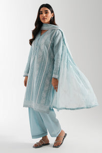 CHIKANKARI SUIT