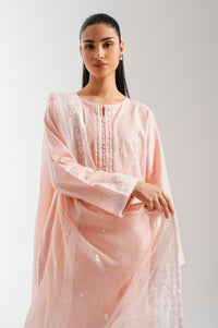 CHIKANKARI SUIT