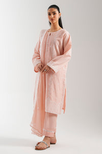 CHIKANKARI SUIT