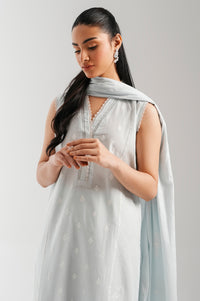 CHIKANKARI SUIT