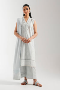 CHIKANKARI SUIT