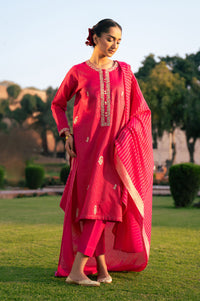 EMBROIDERED SUIT
