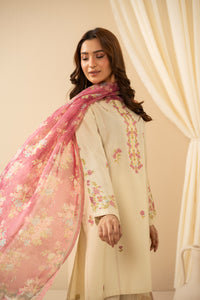 STITCHED EMBROIDERED COTTON SILK SUIT