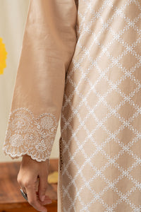 DYED CHIKANKARI STITCHED 3 PIECE SUIT