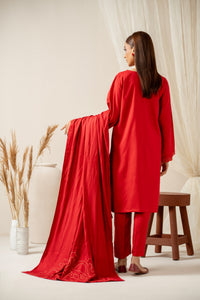 STITCHED EMBROIDERED SUIT