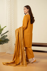 STITCHED EMBROIDERED SUIT