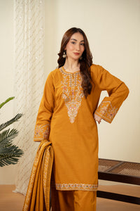 STITCHED EMBROIDERED SUIT