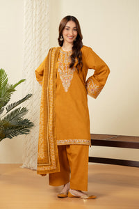 STITCHED EMBROIDERED SUIT