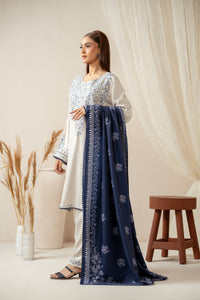 STITCHED EMBROIDERED SUIT