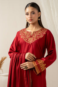 STITCHED EMBROIDERED SUIT