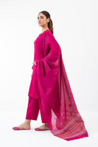 STITCHED EMBROIDERED SUIT
