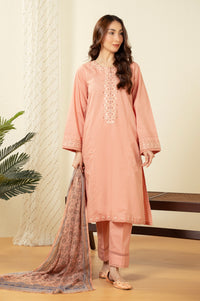 STITCHED EMBROIDERED SUIT