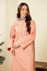 STITCHED EMBROIDERED SUIT