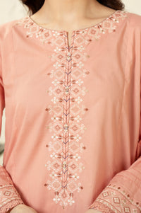 STITCHED EMBROIDERED SUIT