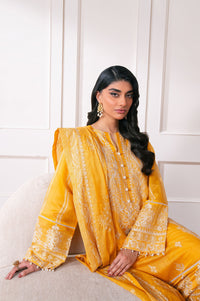 3 Piece Embroidered Manar Semi Formal Suit