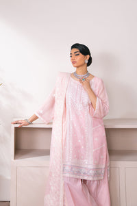 EMBROIDERED SUIT